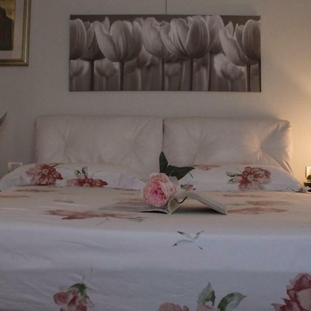 Bed and Breakfast Il Giardino Delle Rose à Santa Maria Nuova  Extérieur photo