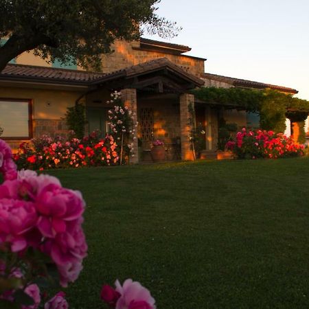 Bed and Breakfast Il Giardino Delle Rose à Santa Maria Nuova  Extérieur photo