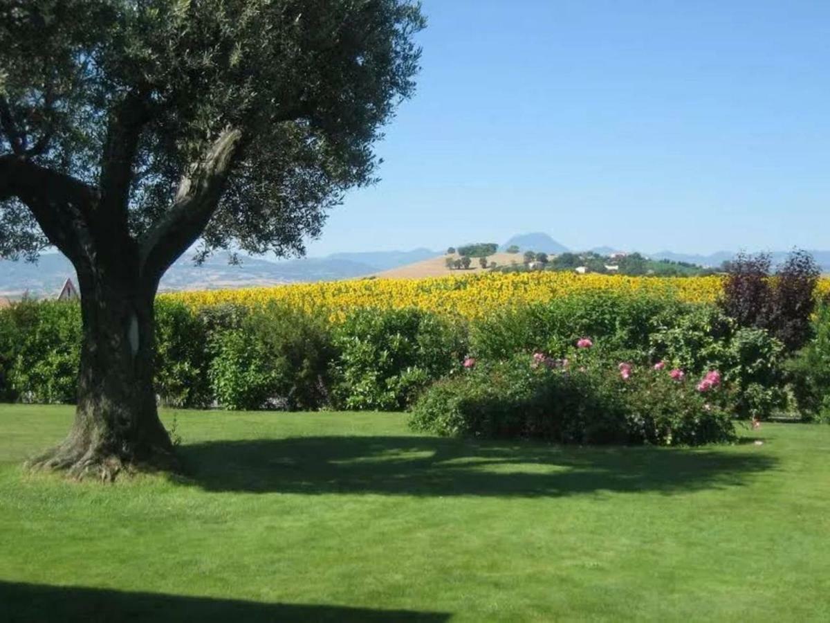 Bed and Breakfast Il Giardino Delle Rose à Santa Maria Nuova  Extérieur photo