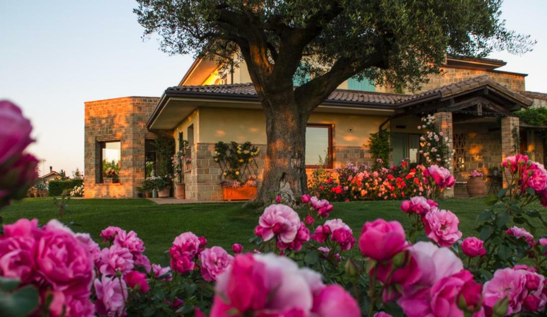 Bed and Breakfast Il Giardino Delle Rose à Santa Maria Nuova  Extérieur photo