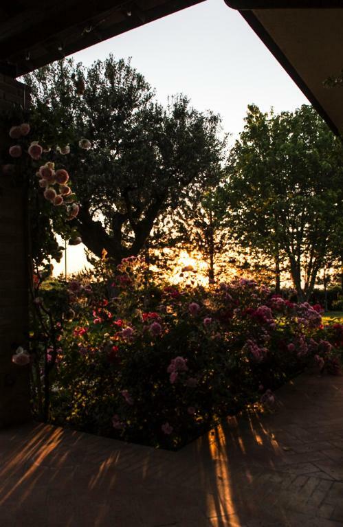 Bed and Breakfast Il Giardino Delle Rose à Santa Maria Nuova  Extérieur photo